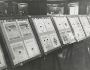 The Honeyman collection on view (Inverted Jenny at top left)